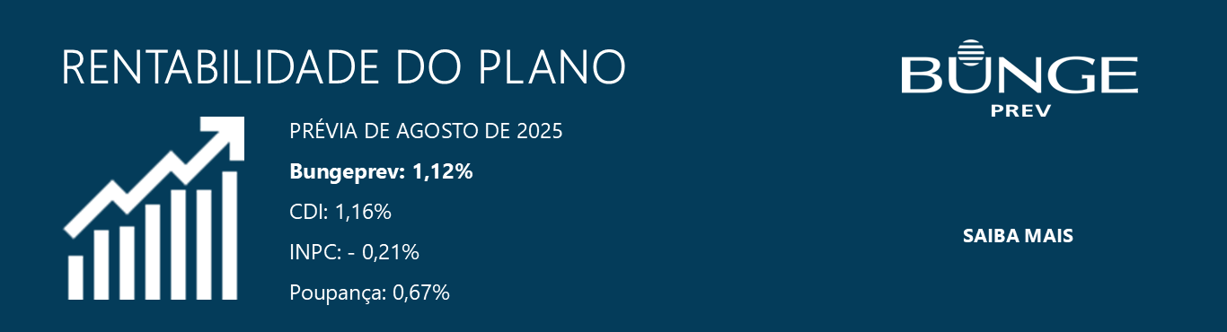 Rentabilidade - 082025
