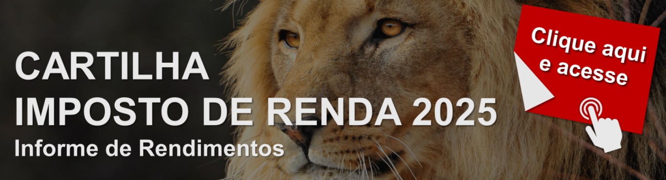 Cartilha - Informe de Rendimentos 2025